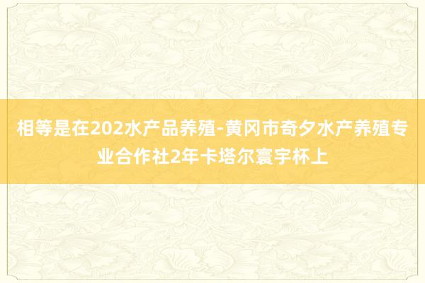相等是在202水产品养殖-黄冈市奇夕水产养殖专业合作社2年卡塔尔寰宇杯上