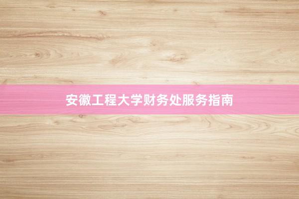 安徽工程大学财务处服务指南